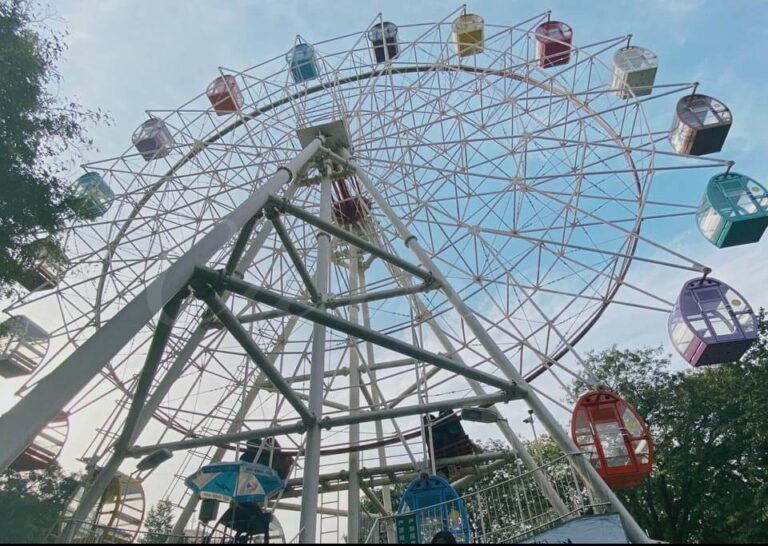 42m ferris wheel for sale Carnee Rides